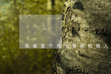 我省首个司法智能机器人大连上线 我省首个司法智能机器人大连上线