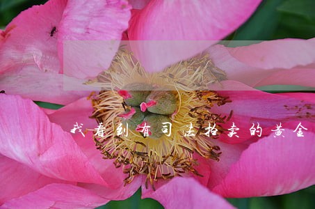 我看到有司法拍卖的黄金 我看到有司法拍卖的黄金