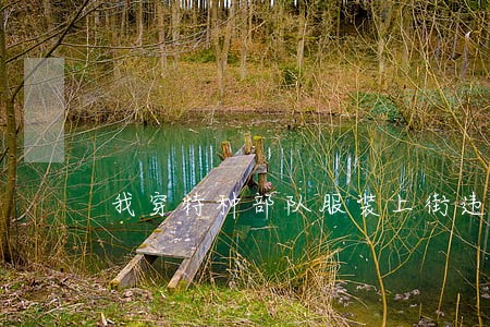 我穿特种部队服装上街违法吗 我穿特种部队服装上街违法吗