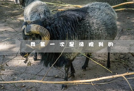 我第一次是法院判的 我第一次是法院判的