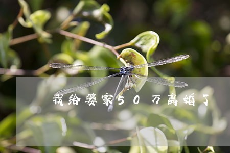 我给婆家50万离婚了 我给婆家50万离婚了