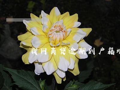 我网商贷逾期到户籍地 我网商贷逾期到户籍地