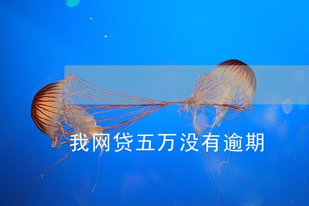 我网贷五万没有逾期 我网贷五万没有逾期