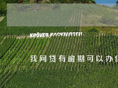 我网贷有逾期可以办信用卡吗 我网贷有逾期可以办信用卡吗
