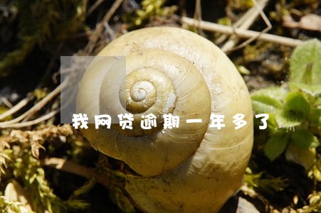 我网贷逾期一年多了 我网贷逾期一年多了