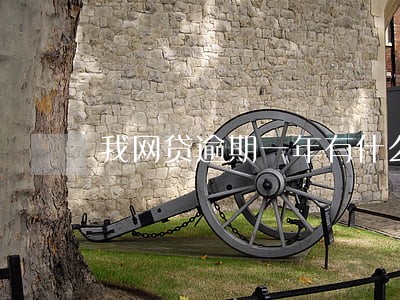 我网贷逾期一年有什么意思 我网贷逾期一年有什么意思