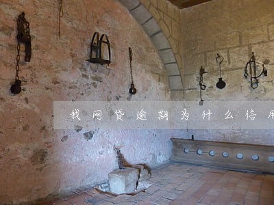 我网贷逾期为什么信用卡办不下来 我网贷逾期为什么信用卡办不下来