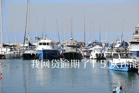 我网贷逾期了15次还能贷款吗 我网贷逾期了15次还能贷款吗