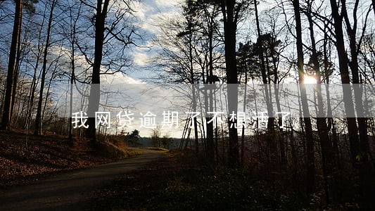 我网贷逾期了不想活了