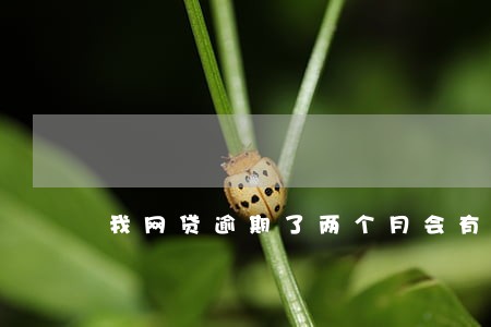 我网贷逾期了两个月会有什么影响 我网贷逾期了两个月会有什么影响