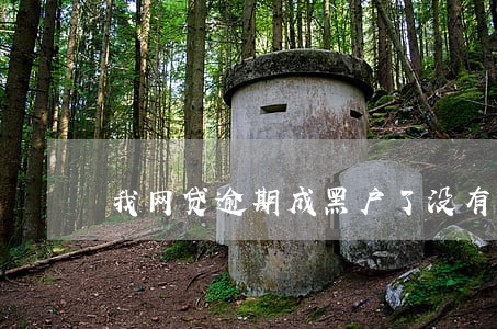 我网贷逾期成黑户了没有 我网贷逾期成黑户了没有