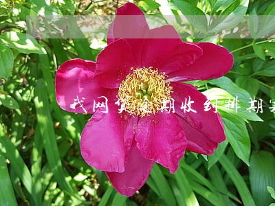 我网贷逾期收到排期案审的吗 我网贷逾期收到排期案审的吗