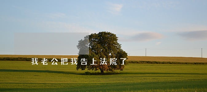 我老公把我告上法院了 我老公把我告上法院了