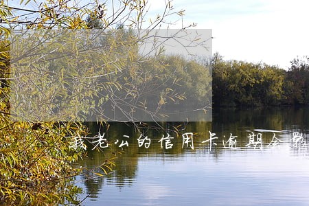 我老公的信用卡逾期会影响我吗 我老公的信用卡逾期会影响我吗