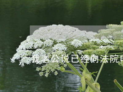 我老公说已经向法院申请离婚了 我老公说已经向法院申请离婚了