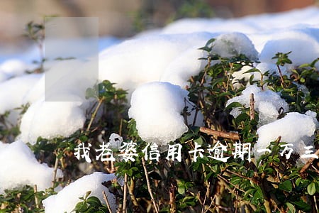 我老婆信用卡逾期一万三年了 我老婆信用卡逾期一万三年了