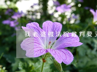 我老婆被法院裁判要支付抚养费 我老婆被法院裁判要支付抚养费