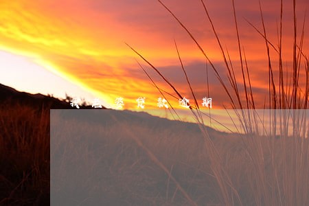 我老婆贷款逾期 我老婆贷款逾期