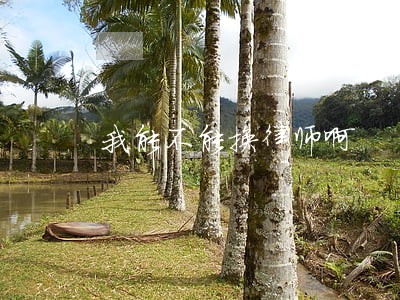 我能不能换律师啊 我能不能换律师啊