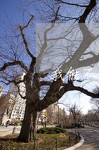 我能不能申请法院强制执行 我能不能申请法院强制执行