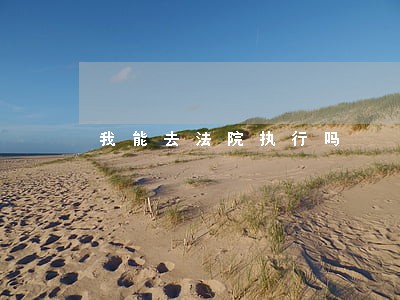 我能去法院执行吗 我能去法院执行吗