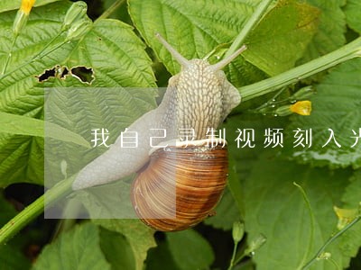 我自己录制视频刻入光盘卖违法吗 我自己录制视频刻入光盘卖违法吗