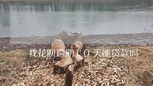 我花呗逾期10天能贷款吗 我花呗逾期10天能贷款吗
