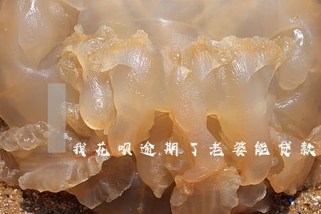 我花呗逾期了老婆能贷款吗 我花呗逾期了老婆能贷款吗