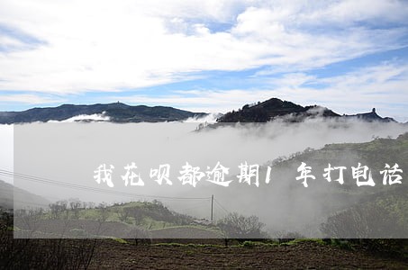我花呗都逾期1年打电话来催 我花呗都逾期1年打电话来催