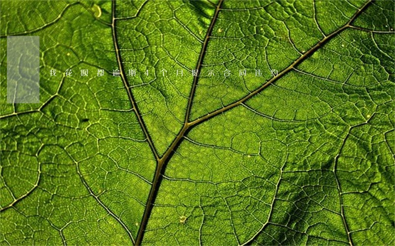 我花呗都逾期4个月提示合同违约 我花呗都逾期4个月提示合同违约