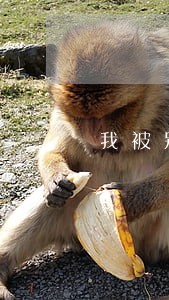我被别人打了准备请律师 我被别人打了准备请律师