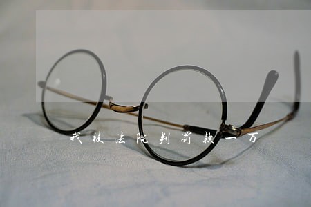 我被法院判罚款一万 我被法院判罚款一万