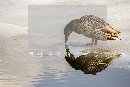 我被法院执行了怎么还能住酒店啊 我被法院执行了怎么还能住酒店啊