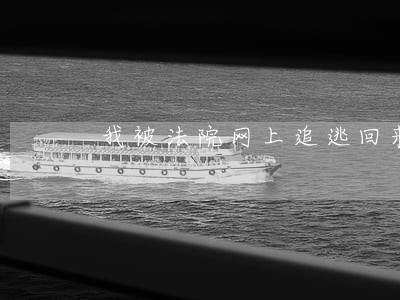 我被法院网上追逃回来了怎么办 我被法院网上追逃回来了怎么办
