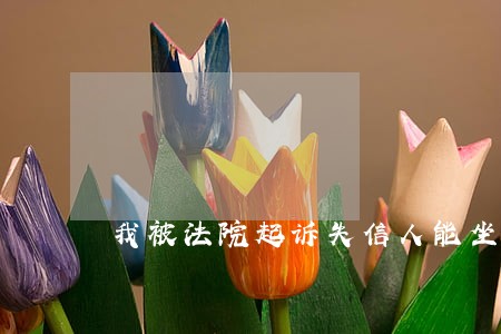 我被法院起诉失信人能坐火车吗 我被法院起诉失信人能坐火车吗