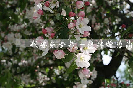 我要免费找一位律师咨询 我要免费找一位律师咨询