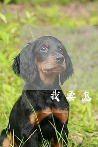 我要怎么走法律程序才能要到钱 我要怎么走法律程序才能要到钱