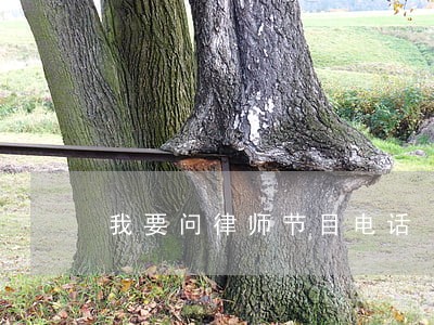 我要问律师节目电话 我要问律师节目电话