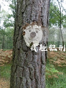 我触犯刑法 我触犯刑法