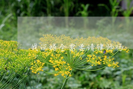 我证据全需要请律师吗 我证据全需要请律师吗