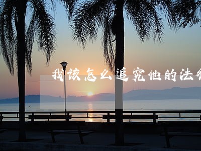 我该怎么追究他的法律责任 我该怎么追究他的法律责任