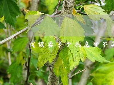 我该要多少利息才不算违法 我该要多少利息才不算违法