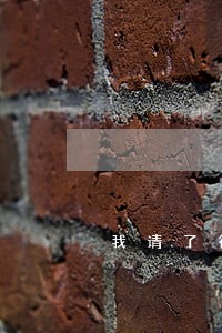 我请了律师已经胜诉 我请了律师已经胜诉