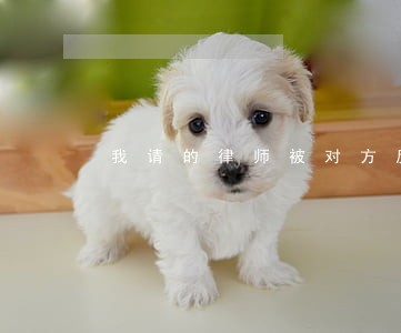 我请的律师被对方反聘了 我请的律师被对方反聘了