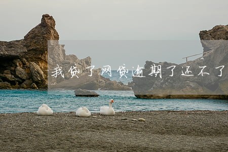我贷了网贷逾期了还不了怎么办 我贷了网贷逾期了还不了怎么办