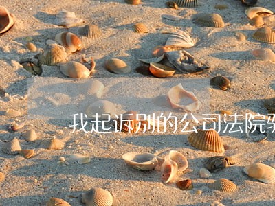 我起诉别的公司法院驳回了 我起诉别的公司法院驳回了
