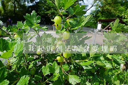 我起诉到法院会受理吗 我起诉到法院会受理吗