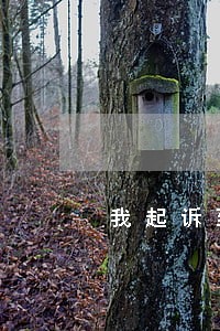 我起诉到法院强制执行