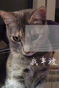 我车被法院拘押