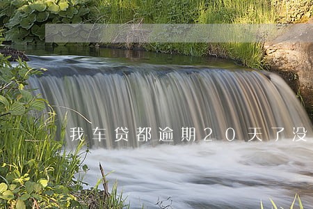 我车贷都逾期20天了没拖车